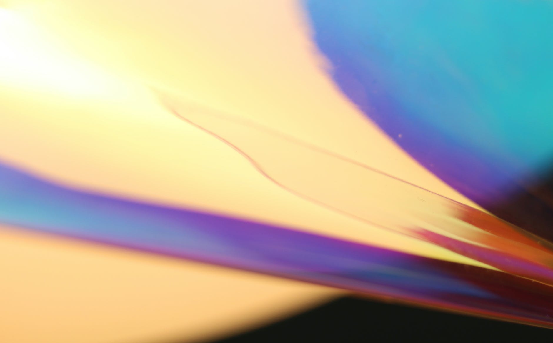 Design Like a Pro with Canva: A Beginner’s Guide to Graphic Design